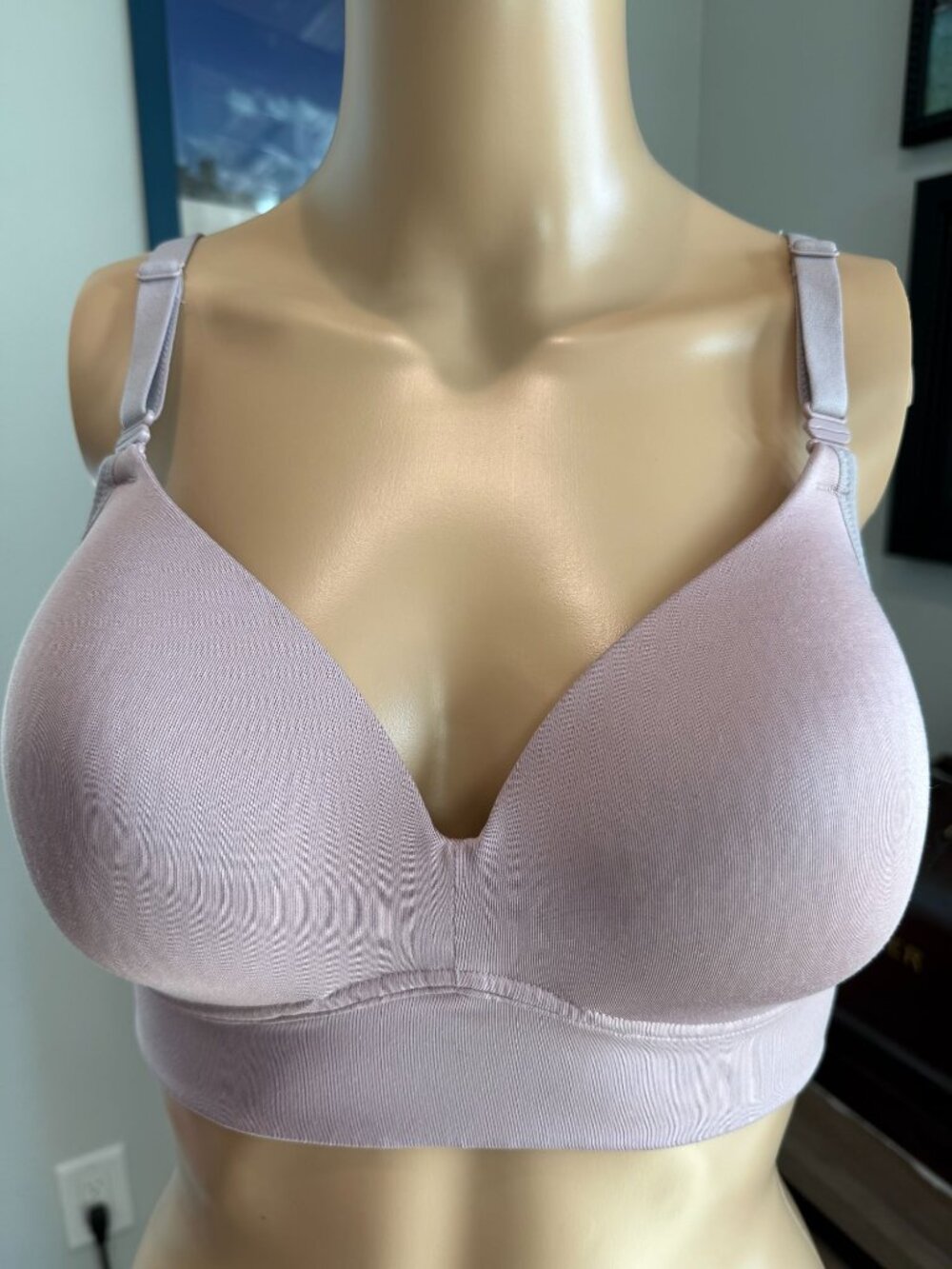 Warner’s Simply Perfect Allover-Smoothing Bliss Wireless Bra, size 36B